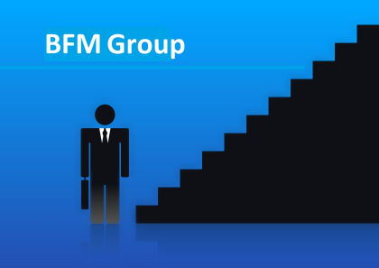Стандарт бизнес планирования BMF Group – основные разделы и особенности