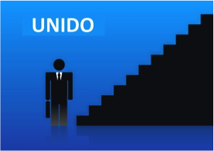 Стандарт бизнес планирования UNIDO – основные разделы и особенности